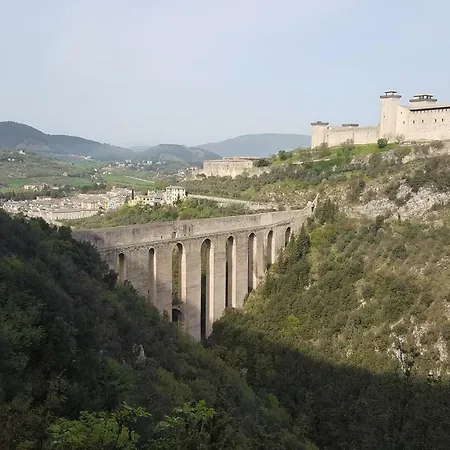 Angelo Spoleto
